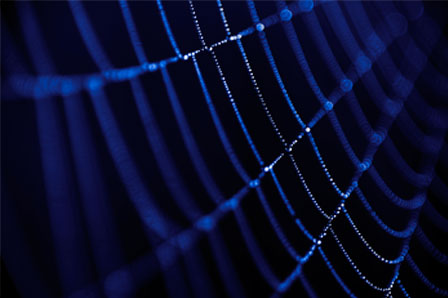 Diseño-Web, Diseño de Paginas web