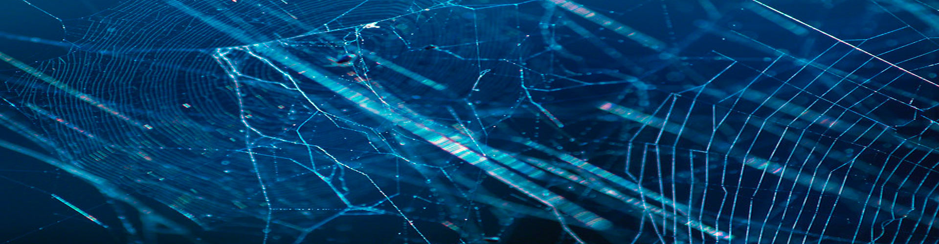 Diseño Web en Mallorca Pagina Web-0 Mallorca