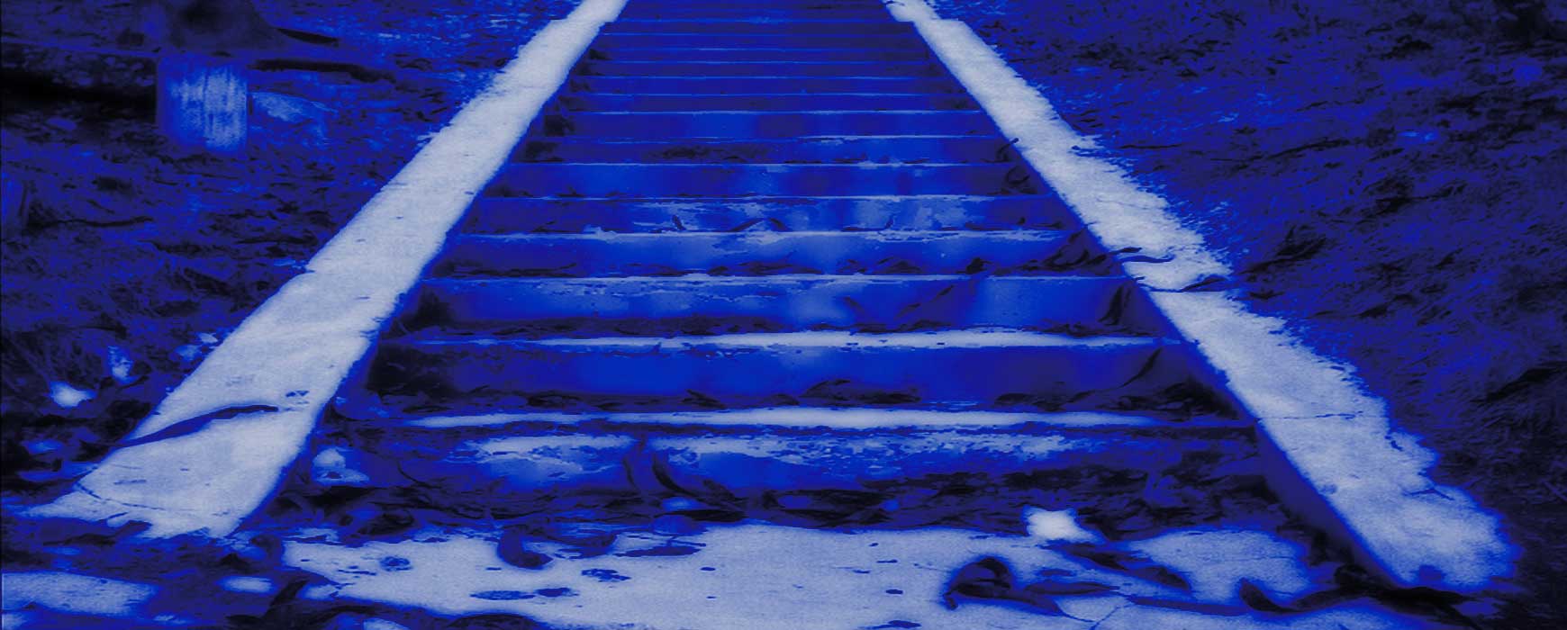 SEO y Posicionamiento Web Orgánico