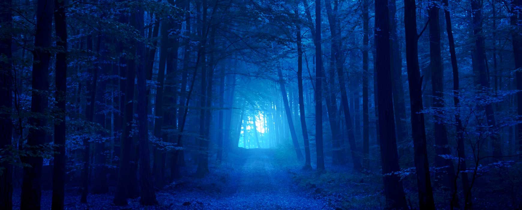 SEO Off-Page y Optimización Web