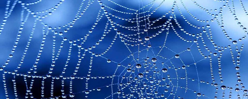 Diseño Web o Diseño de Páginas Web