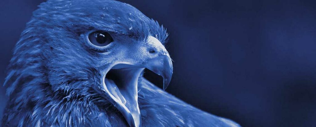 Link-Building en Google Business