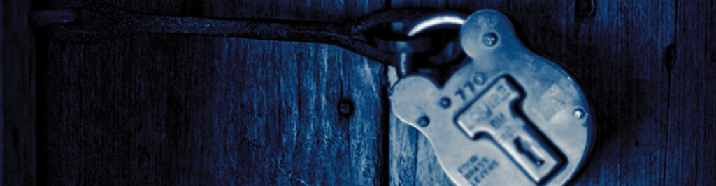 Marketing Online y Mercadotecnia en Internet