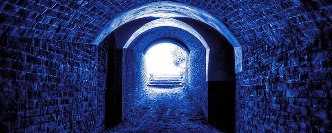 SEO-Local y Link-Building en Google Business Plus