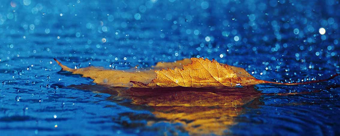 Agencia de Desarrollo Web. Diseño de Página Web